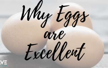 Why Eggs are Excellent Why Eggs are Excellent
